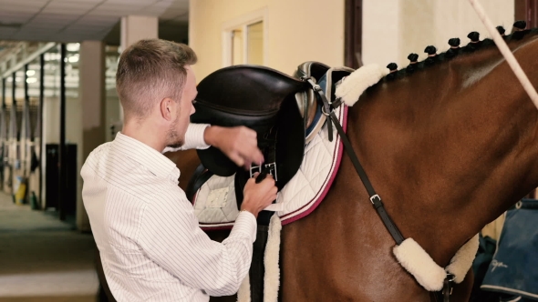 Man Binds a Saddle To The Horse alt