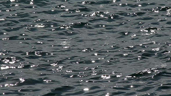 Quiet Summer Sea alt