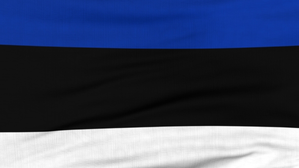 National Flag Of Estonia Flying On The Wind