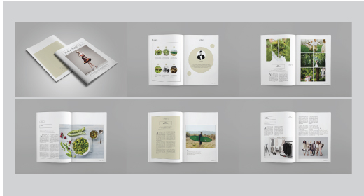 Multipurpose Magazine Template Vol I