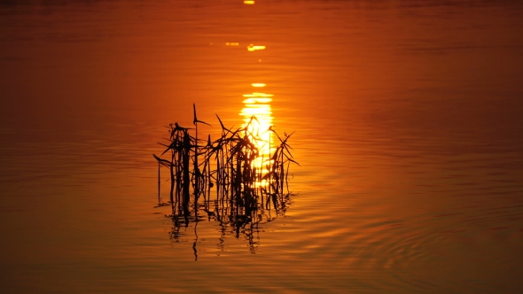 Reflection of the Sunset on the Water