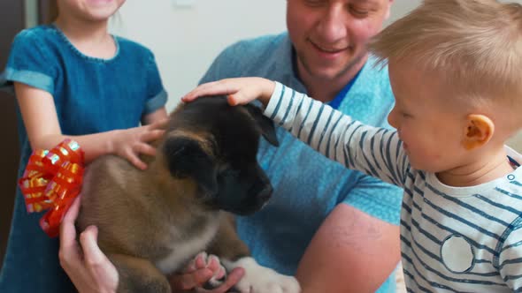 Children receiving dog as a gift