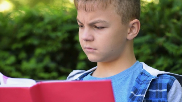 Boy Reading Book