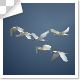 Group Of Flying Birds - VideoHive Item for Sale