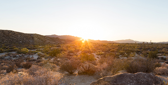 Joshua Tree National Park, California Sunset alt