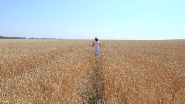 Young Woman In White Dress Walking In a Field Of Wheat