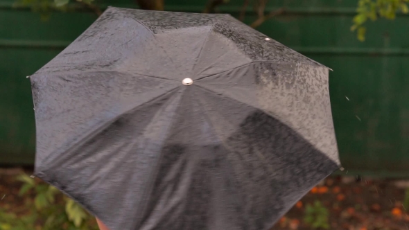 Woman With Umbrella In The Rain