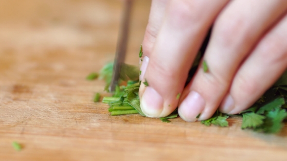 Chopped Vegetables 