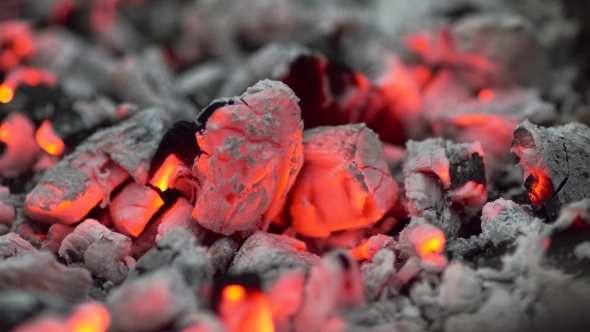 Bright Coals, The Fire