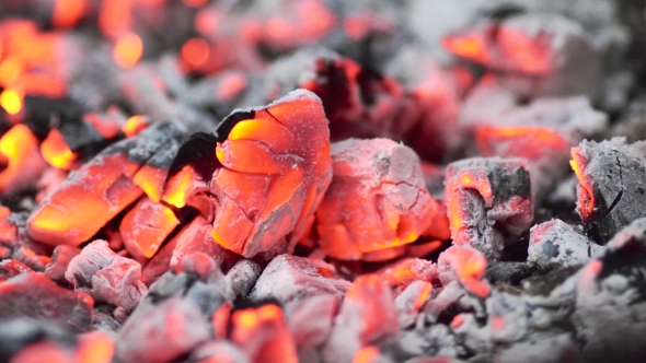 Bright Coals, The Fire
