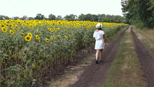 Woman Runs Across The Road Near a Field Of Sunflowers