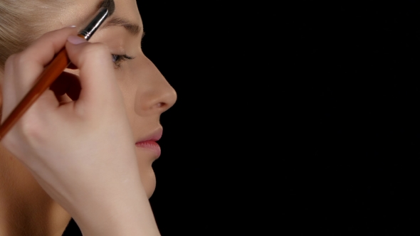 Professional Make-up Artist. Makeup. Highlighter. Black.  alt