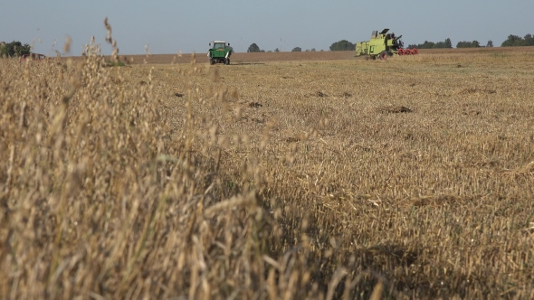 Tractor Combine Work In Oat Field At Harvest Time In Country. 