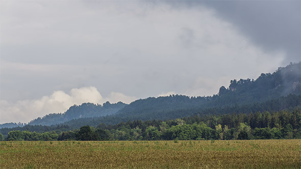 Mountain Forest With Moving Fog and Clouds