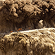 Quarry Explosion - VideoHive Item for Sale