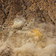 Blasting of Rocks - VideoHive Item for Sale