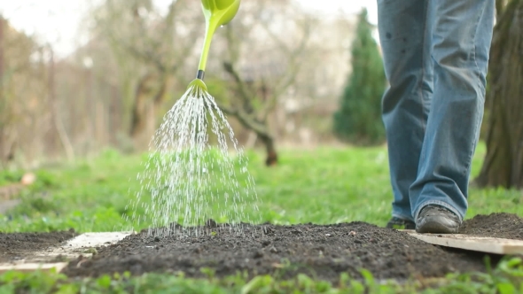 Man Walking With Watering Can alt