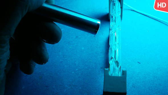 Halogen Bulb 0323 alt