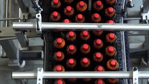 The Conveyor Belt Production Of Beer In PET Plastic Bottles.