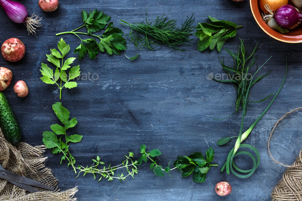 Fresh herbs frame on dark background: parsley, dill, celery, thyme, marjoram, place for text