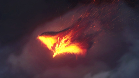 The Phoenix | Fire Reveal
