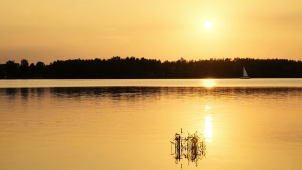 The Reflection Of The Sun On The Water.