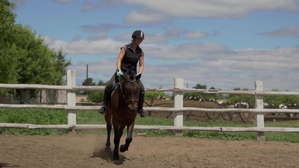 Riding Horse. Girl On Beautiful Horse Riding On Manege. alt