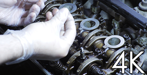 Motor Vehicle Inspection alt