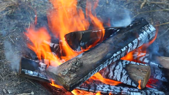 Closeup Burning of Wooden Logs with a Small Fire and Small Sparks and Glowing Coals Scattering alt