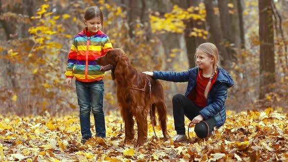 Two little sister girls play in the autumn Park with an Irish setter dog.