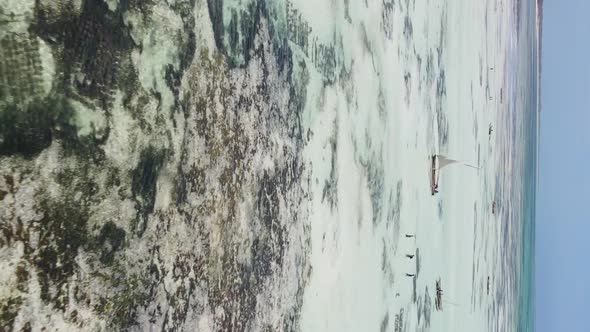 Vertical Video of Low Tide in the Ocean Near the Coast of Zanzibar Tanzania Aerial View alt