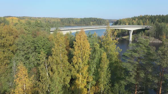 Closer Look of the Trees on the Side of Lake Saimaa in Finland alt