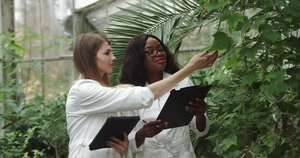 A Focused Black Biologist Enters Data About the Plant alt