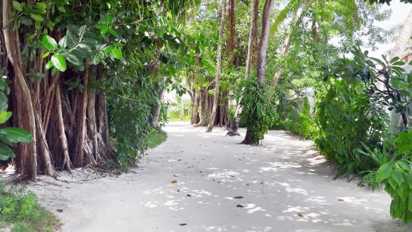 Tropical island walk - Maldives, June 2021