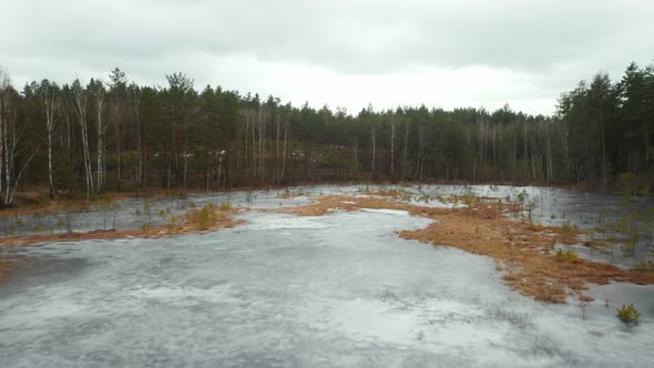 AERIAL: Frozen Lake on a Gloomy and Cloudy Day in Forest alt