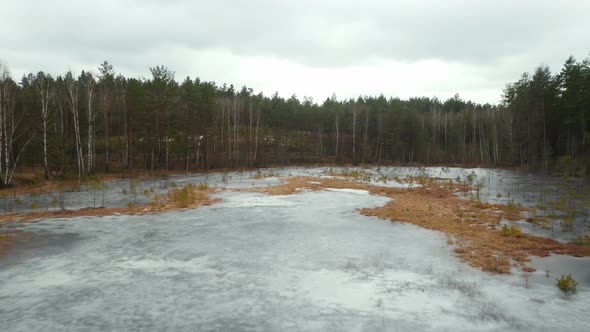 AERIAL: Frozen Lake on a Gloomy and Cloudy Day in Forest