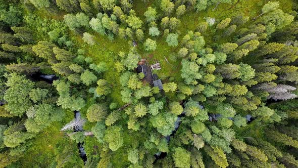 Flight Over the Forest, Log Hut, Aerial Top Down View on Forest in the Summer, Drone Shot Flying