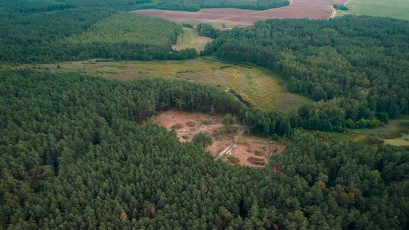 Aerial video of cut place of forest