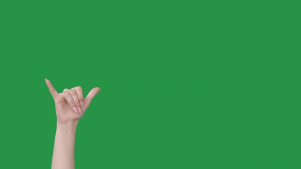 Call Gesture Shaka Sign Hand Greeting Signal Set 2 alt