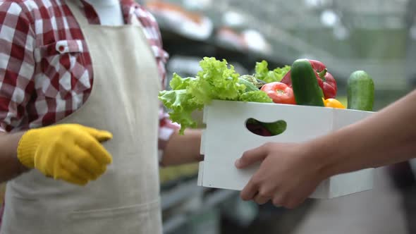 Hands Returning Box of Gmo Vegetables to Farmer, Quality Control on Food Market