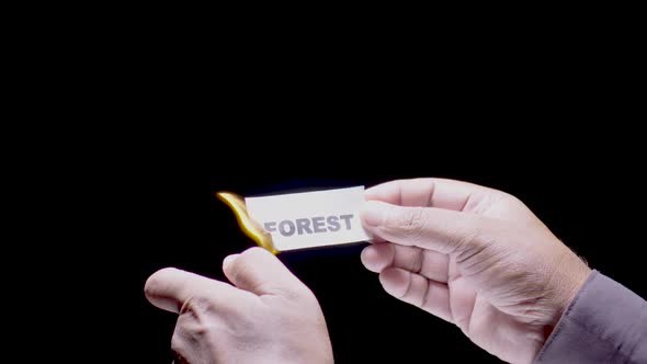 Paper Burning Forest