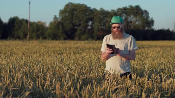 Farmer Looks at His Fields of Wheat and Using His Digital Tablet alt