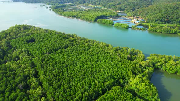 An island-shaped mangrove forest in the middle of a river mouth near the sea. alt