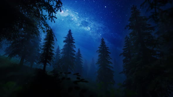 night sky falling stars in a forest 4K