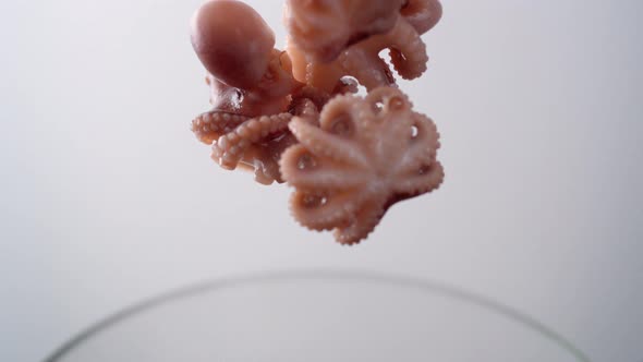 Camera follows cooking octopus in boiling water. Slow Motion. alt
