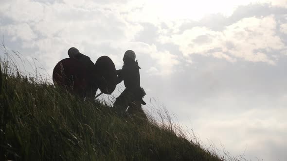 Victorious viking in battle alt