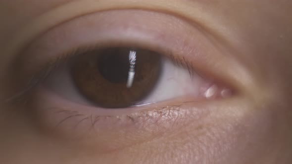 Macro close-up woman brown eye. Blinking eye, mowing eyeball, watching around. Eyelash, eyelid. alt