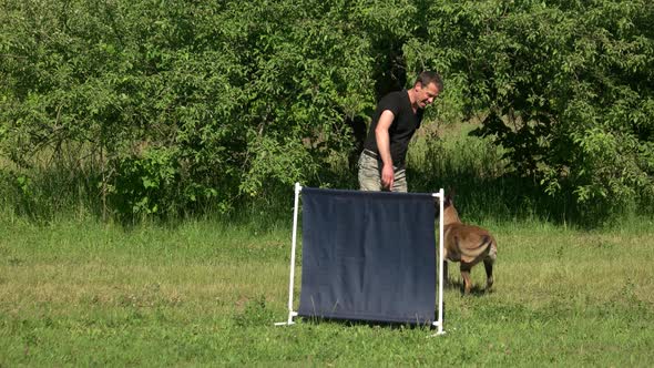 Dog Jumping Exercise. alt