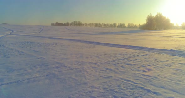 Aerial Drone View of Cold Winter Landscape with Arctic Field Trees Covered with Frost Snow and alt