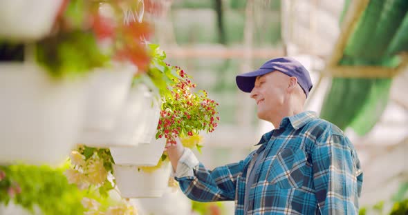 Confident Male Gardener Examining Potted Flower Plant alt